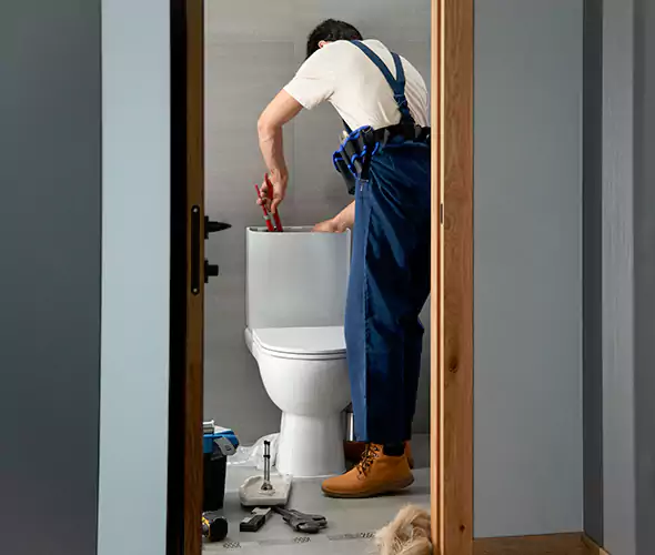 Professional Plumbers for Toilet Bowl Replacement in Palisades Park, NJ: Schedule Affordable Toilet Replacement Services With Us