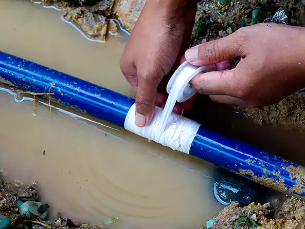 Why Choose Palisades Park Plumbers for Leak Detection in Palisades Park, NJ?]