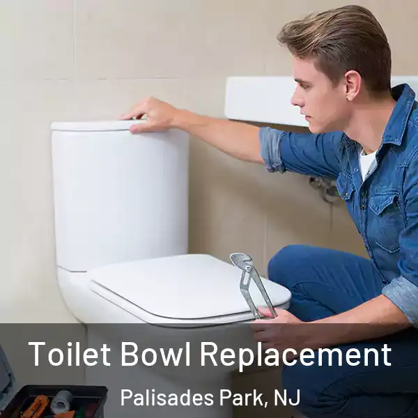  Toilet Bowl Replacement Palisades Park, NJ